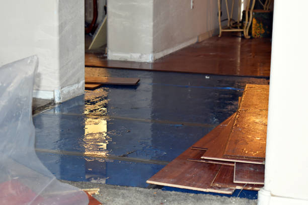 Professional Sewage Cleanup technician working in Hempstead, NY